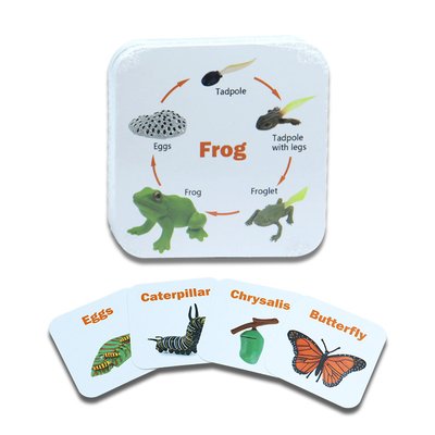 購入 異なるデザインで子供のための教育ゲームのためのカスタム動物昆虫フラッシュカード online manufacture
